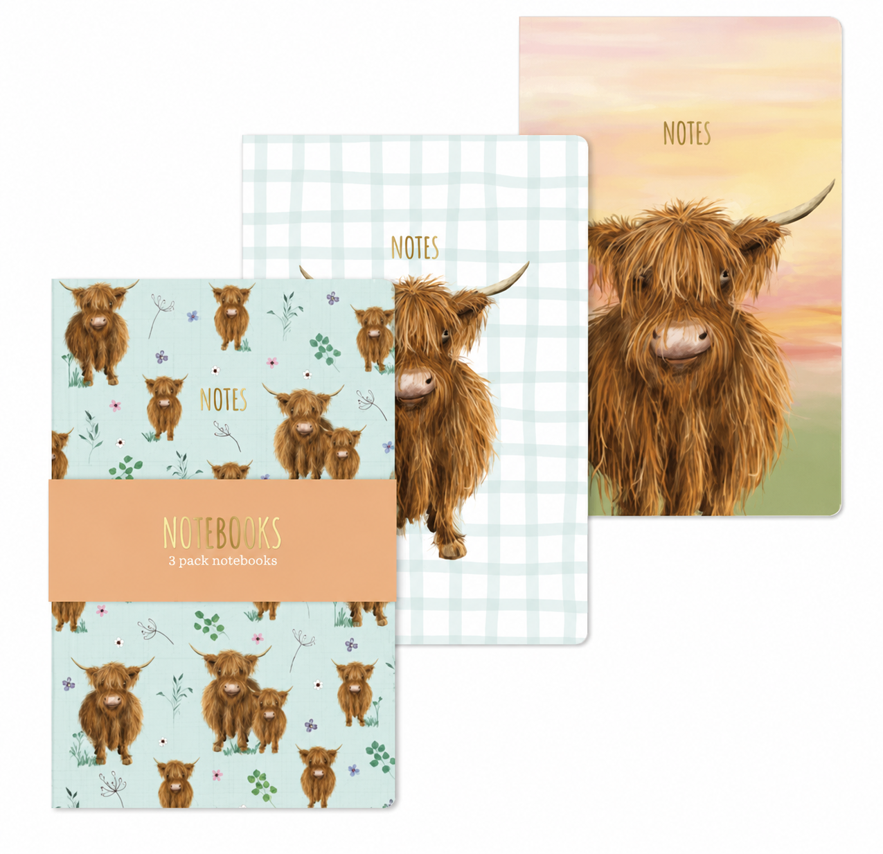 Highland Cow A6 Notebook 3 Pack