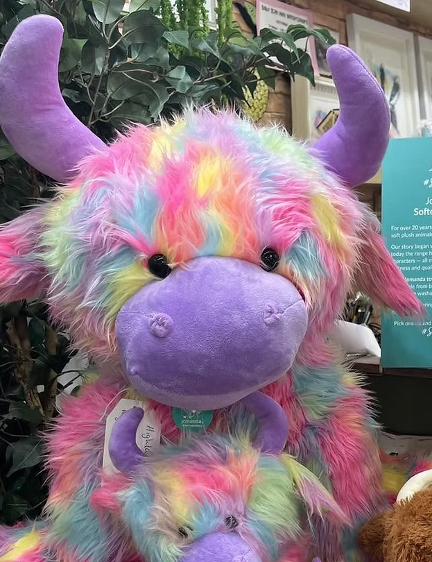 Extra Large Rainbow Highland Cow - 60cm