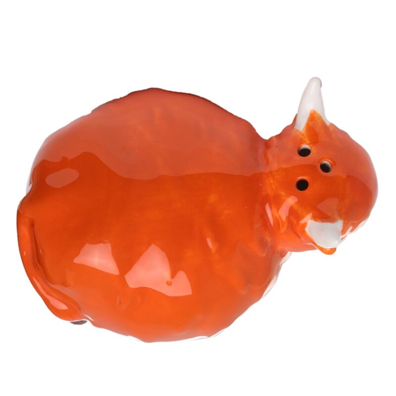 Highland Coo Cow Ceramic Salt & Pepper Set